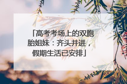 高考考场上的双胞胎姐妹：齐头并进，假期生活已安排