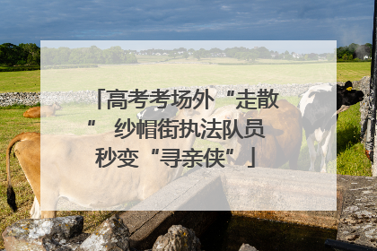 高考考场外“走散” 纱帽街执法队员秒变“寻亲侠”