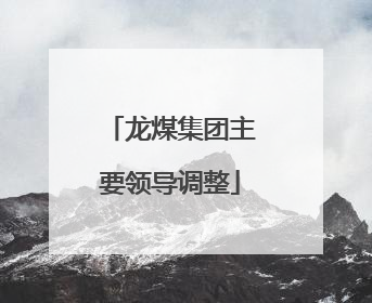 龙煤集团主要领导调整