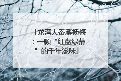 龙湾大岙溪杨梅：一颗“红盘绿蒂”的千年滋味