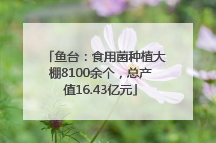 鱼台：食用菌种植大棚8100余个，总产值16.43亿元