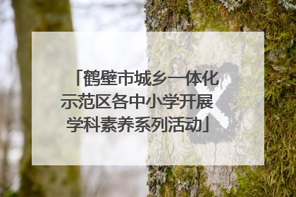 鹤壁市城乡一体化示范区各中小学开展学科素养系列活动