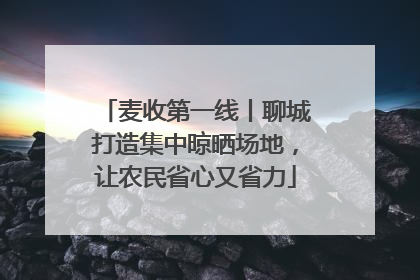麦收第一线丨聊城打造集中晾晒场地，让农民省心又省力