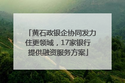 黄石政银企协同发力住更领域，17家银行提供融资服务方案