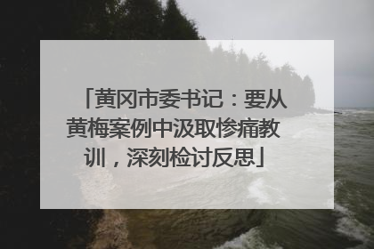 黄冈市委书记：要从黄梅案例中汲取惨痛教训，深刻检讨反思