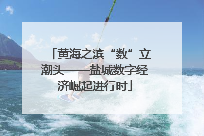 黄海之滨“数”立潮头——盐城数字经济崛起进行时