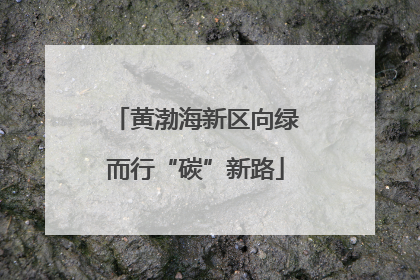 黄渤海新区向绿而行“碳”新路