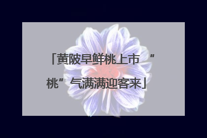 黄陂早鲜桃上市 “桃”气满满迎客来