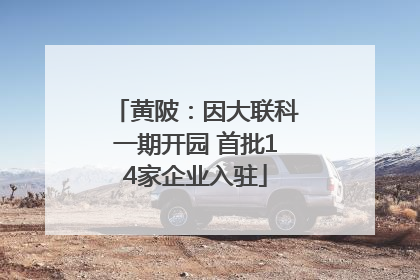 黄陂：因大联科一期开园 首批14家企业入驻