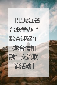 黑龙江省台联举办“粽香迎端午·龙台情相融”交流联谊活动