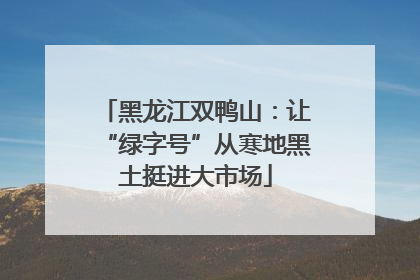 黑龙江双鸭山：让“绿字号”从寒地黑土挺进大市场