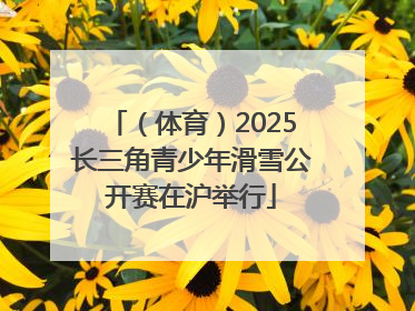 （体育）2025长三角青少年滑雪公开赛在沪举行
