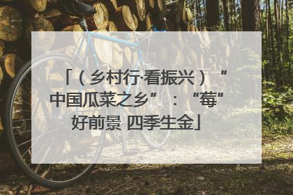 （乡村行·看振兴）“中国瓜菜之乡”：“莓”好前景 四季生金