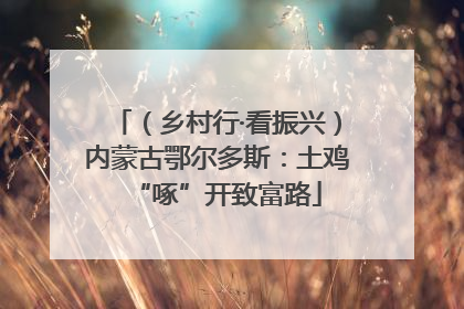 （乡村行·看振兴）内蒙古鄂尔多斯：土鸡“啄”开致富路