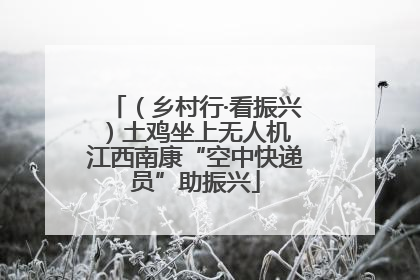 （乡村行·看振兴）土鸡坐上无人机 江西南康“空中快递员”助振兴