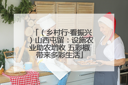 （乡村行·看振兴）山西屯留：设施农业助农增收 五彩椒带来多彩生活