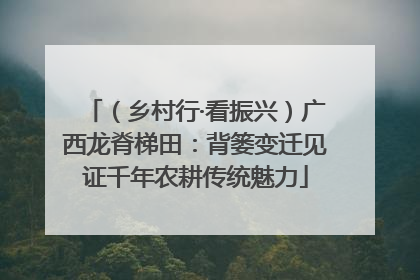 （乡村行·看振兴）广西龙脊梯田：背篓变迁见证千年农耕传统魅力