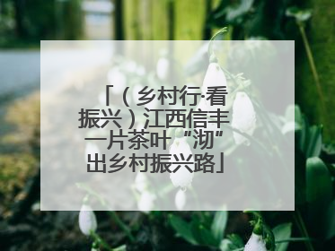 （乡村行·看振兴）江西信丰一片茶叶“沏”出乡村振兴路
