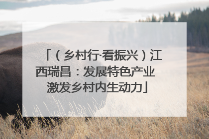 （乡村行·看振兴）江西瑞昌：发展特色产业 激发乡村内生动力