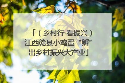 （乡村行·看振兴）江西赣县小鸡蛋“孵”出乡村振兴大产业