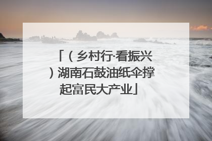 （乡村行·看振兴）湖南石鼓油纸伞撑起富民大产业