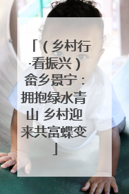 （乡村行·看振兴）畲乡景宁：拥抱绿水青山 乡村迎来共富蝶变