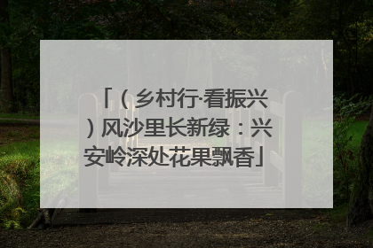 （乡村行·看振兴）风沙里长新绿：兴安岭深处花果飘香