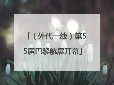 （外代一线）第55届巴黎航展开幕