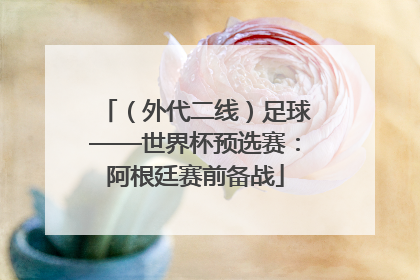 （外代二线）足球——世界杯预选赛：阿根廷赛前备战