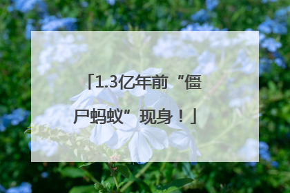1.3亿年前“僵尸蚂蚁”现身！