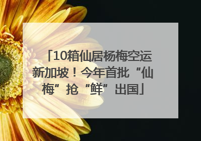 10箱仙居杨梅空运新加坡！今年首批“仙梅”抢“鲜”出国