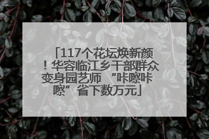 117个花坛焕新颜！华容临江乡干部群众变身园艺师 “咔嚓咔嚓”省下数万元