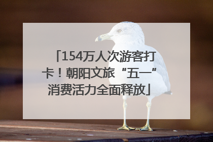 154万人次游客打卡！朝阳文旅“五一”消费活力全面释放