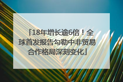 18年增长逾6倍！全球首发报告勾勒中非贸易合作格局深刻变化