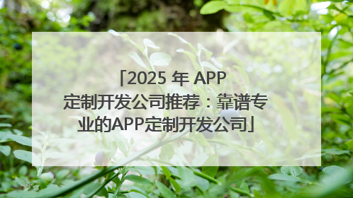 2025 年 APP 定制开发公司推荐：靠谱专业的APP定制开发公司