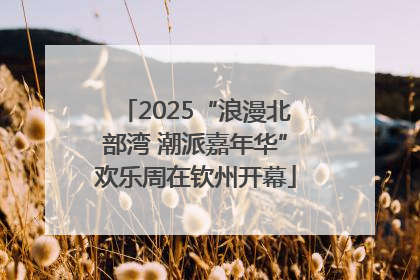 2025“浪漫北部湾 潮派嘉年华”欢乐周在钦州开幕