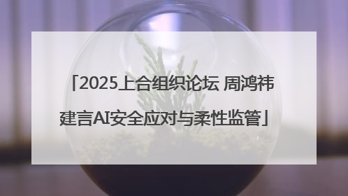 2025上合组织论坛 周鸿祎建言AI安全应对与柔性监管