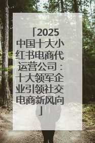 2025中国十大小红书电商代运营公司：十大领军企业引领社交电商新风向