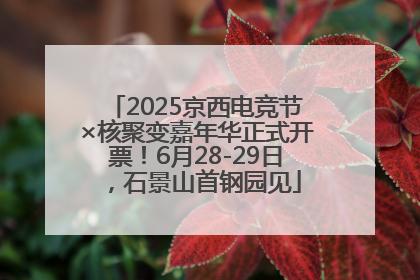 2025京西电竞节×核聚变嘉年华正式开票！6月28-29日，石景山首钢园见
