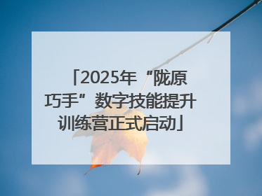 2025年“陇原巧手”数字技能提升训练营正式启动