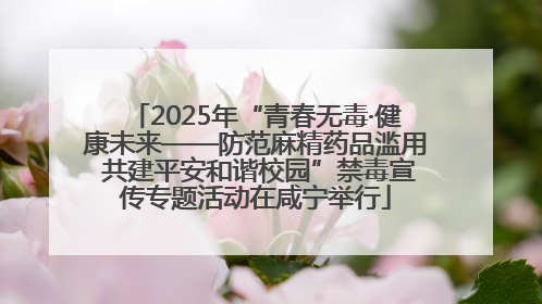2025年“青春无毒·健康未来——防范麻精药品滥用 共建平安和谐校园”禁毒宣传专题活动在咸宁举行