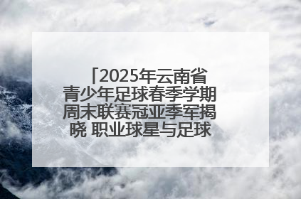 2025年云南省青少年足球春季学期周末联赛冠亚季军揭晓 职业球星与足球小将共享荣耀时刻