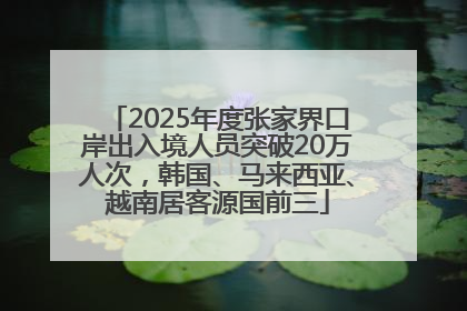 2025年度张家界口岸出入境人员突破20万人次，韩国、马来西亚、越南居客源国前三