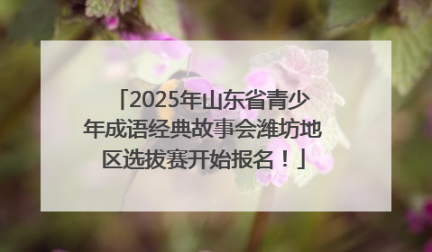 2025年山东省青少年成语经典故事会潍坊地区选拔赛开始报名！