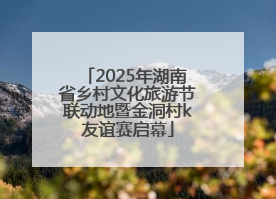2025年湖南省乡村文化旅游节联动地暨金洞村k友谊赛启幕