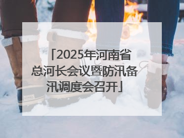 2025年河南省总河长会议暨防汛备汛调度会召开