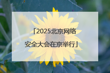 2025北京网络安全大会在京举行