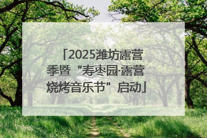 2025潍坊露营季暨“寿枣园·露营烧烤音乐节”启动
