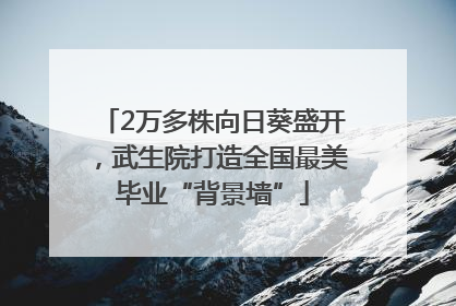 2万多株向日葵盛开，武生院打造全国最美毕业“背景墙”