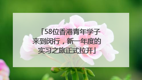 58位香港青年学子来到闵行，新一年度的实习之旅正式拉开